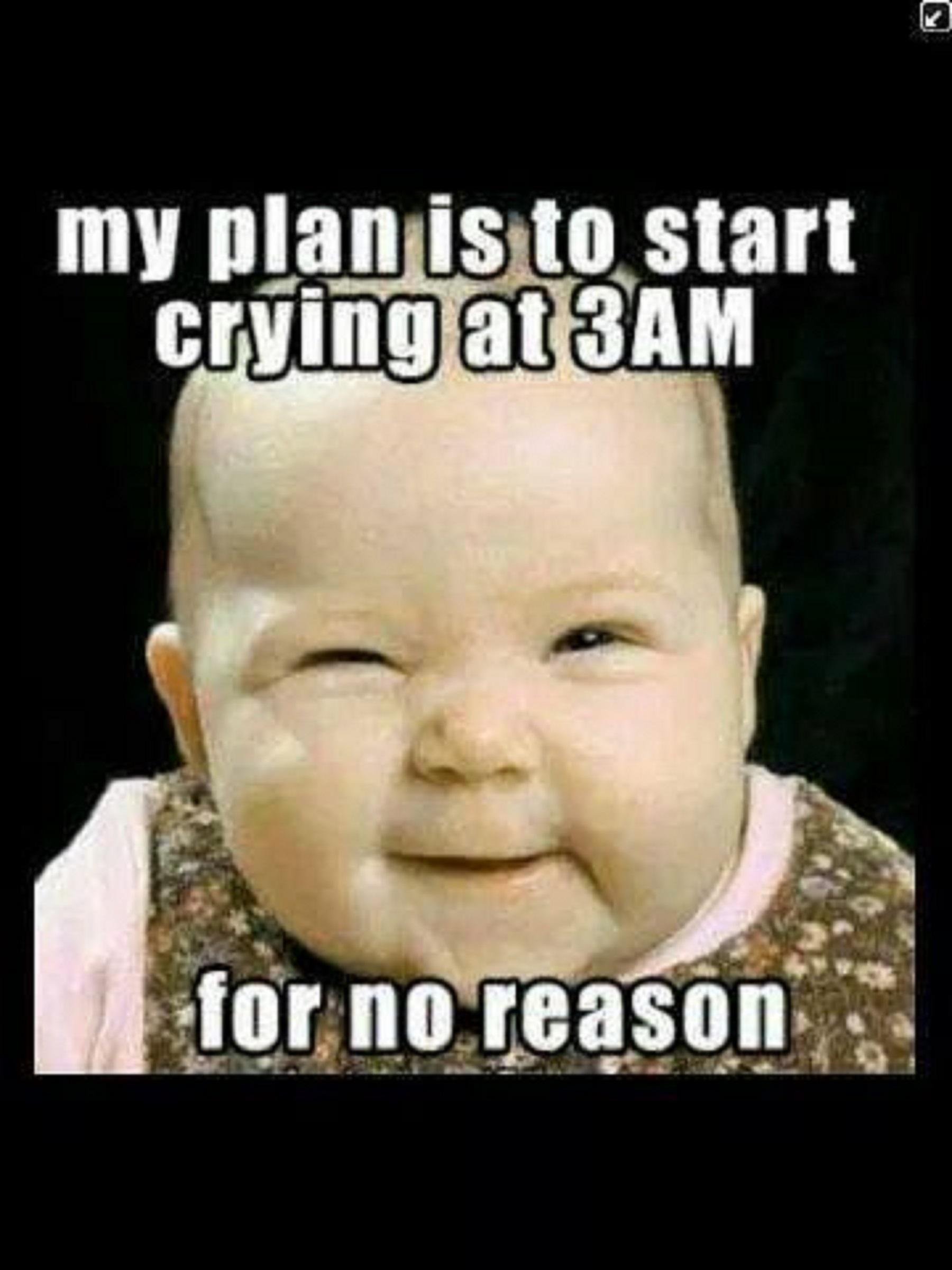 Funny New Baby Quotes
 Cute Funny Baby Saying My Plan Is To Start Crying At