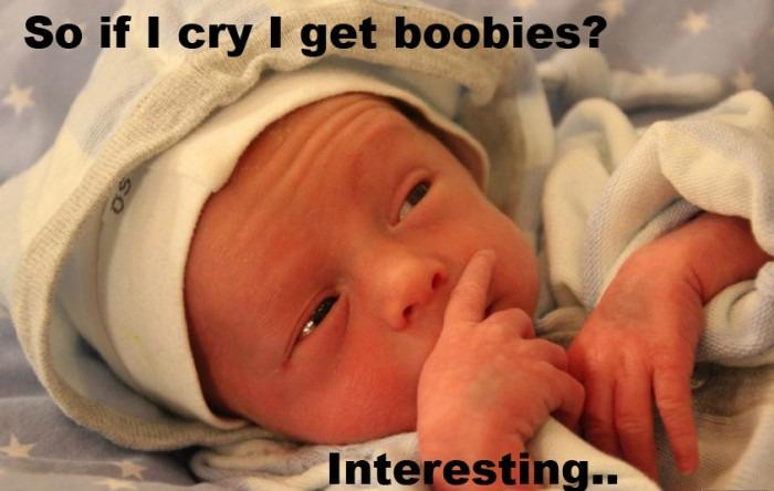 Funny New Baby Quotes
 Just a newborn baby