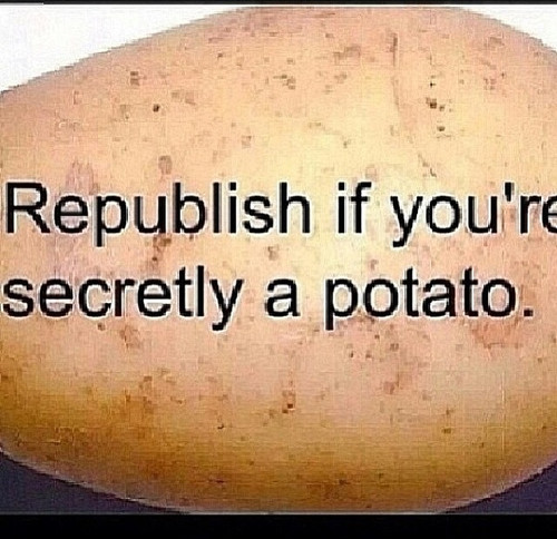 Funny Potato Quotes
 Funny Quotes About Potatoes QuotesGram