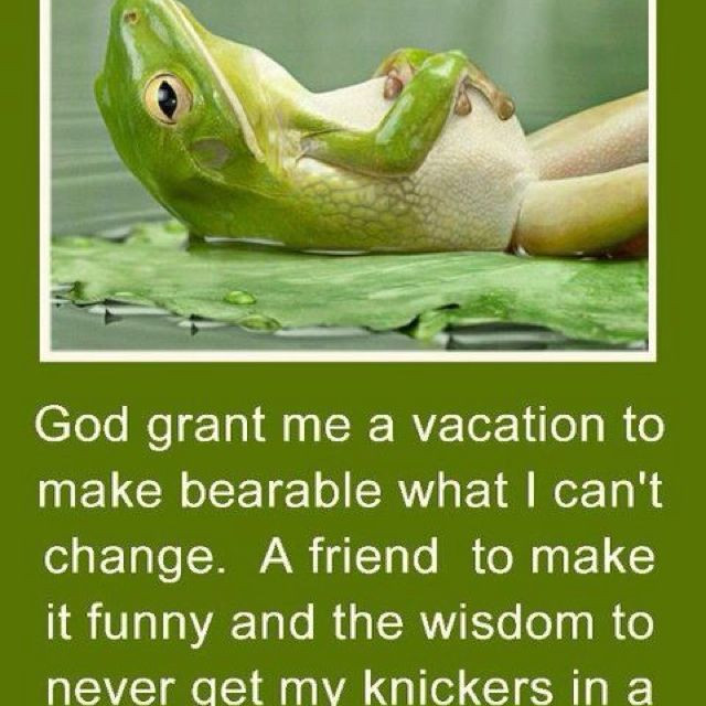 Funny Prayer Quotes
 54 best images about Funny prayers and quotes on Pinterest