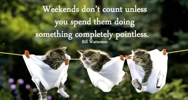 Funny Quotes About The Weekend
 100 Happy Weekend Quotes and Sayings with