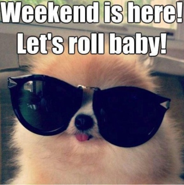 Funny Quotes About The Weekend
 100 Happy Weekend Quotes & Sayings To