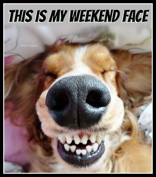 Funny Quotes About The Weekend
 This Is My Weekend Face weekend weekend quotes happy