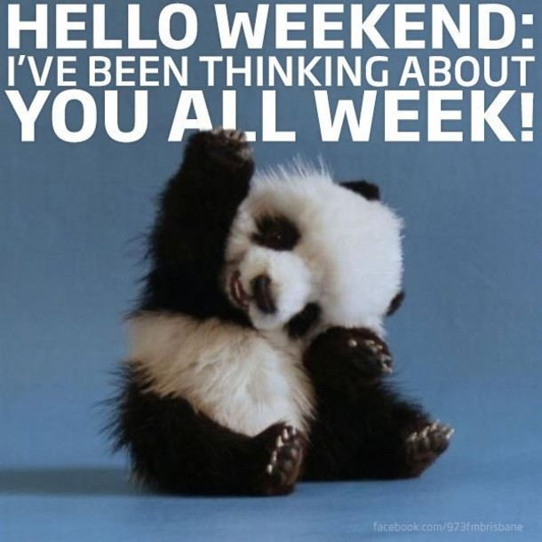 Funny Quotes About The Weekend
 14 Hello Weekend Quotes To Start Your Weekend