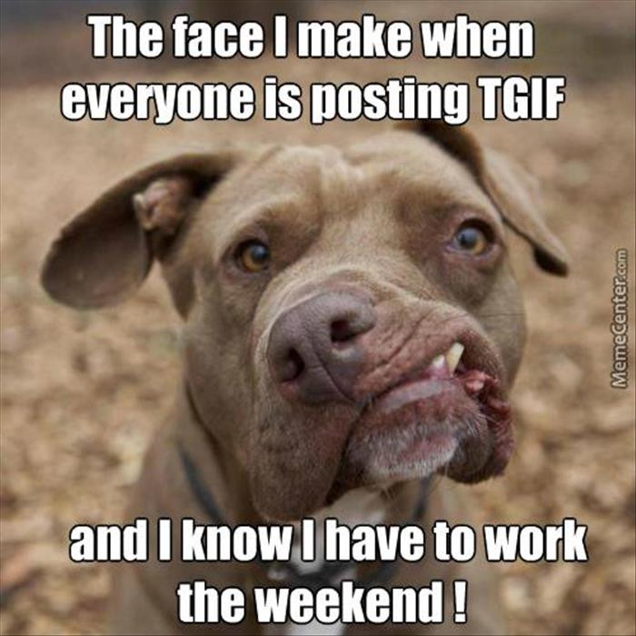 Funny Quotes About The Weekend
 Funny The Day 54 Pics