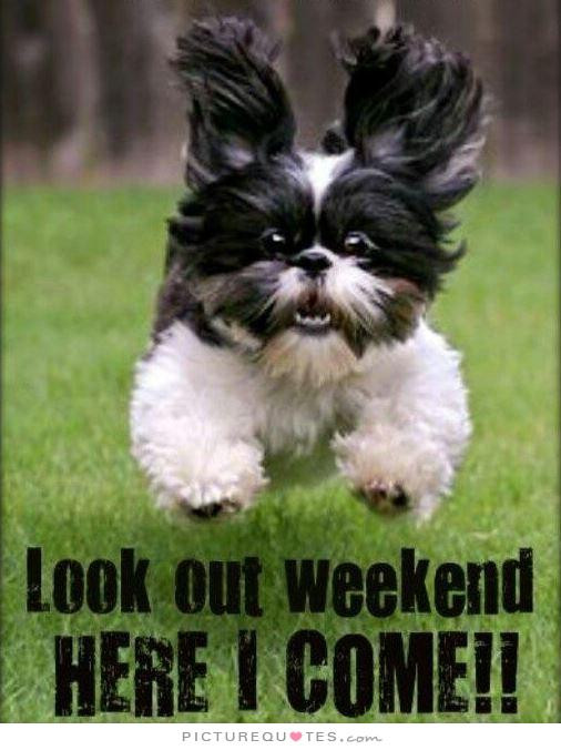 Funny Quotes About The Weekend
 Weekend Is Here Quotes Funny QuotesGram