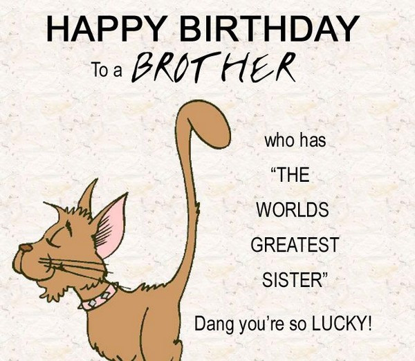 Funny Sister Birthday Wishes
 200 Best Birthday Wishes For Brother 2020 My Happy