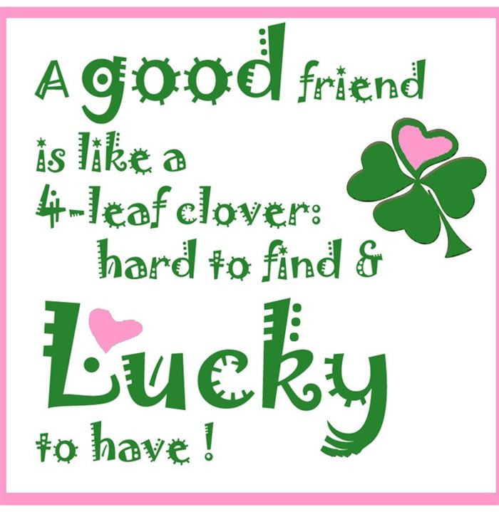 Funny St Patrick Day Quotes
 ST PATRICKS DAY QUOTES AND SAYINGS image quotes at