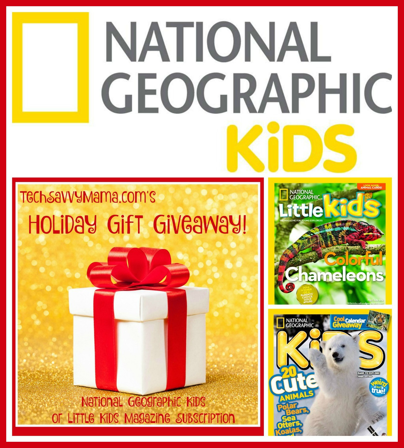 Geography Gifts For Kids
 GIVEAWAY National Geographic Kids or Little Kids Magazine