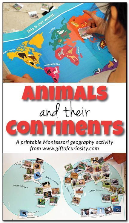 Geography Gifts For Kids
 Animals and their continents geography activity
