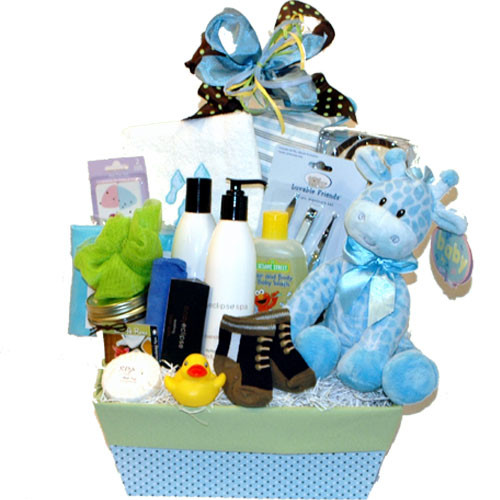 Gift Baskets For Baby Boy
 New Baby and Mom Gift Basket Mom and Baby Boy Gift Basket