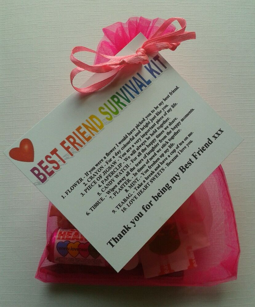 Gift Ideas For Best Friends Birthday
 BEST FRIEND Survival Kit Birthday Keepsake Gift Present