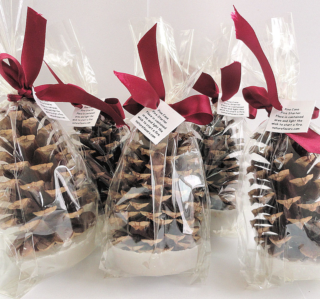 Gift Ideas For Office Christmas Party
 25 Pine Cone Fire Starter Christmas Party Favors Holiday