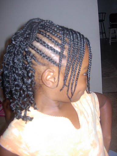 Girls Braided Hairstyles
 braided hairstyle African American little girls