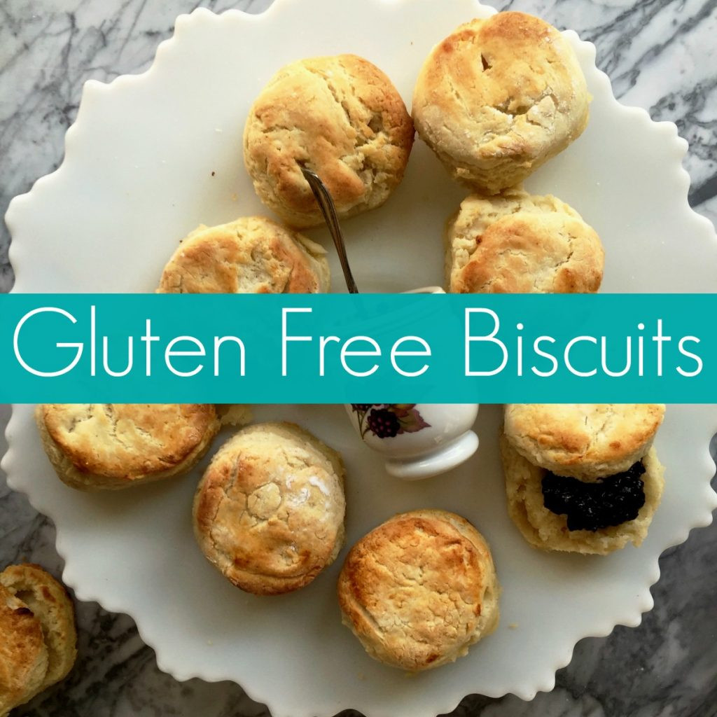 Gluten Free Biscuit Recipe
 Gluten Free Biscuit Fluffy southern approved