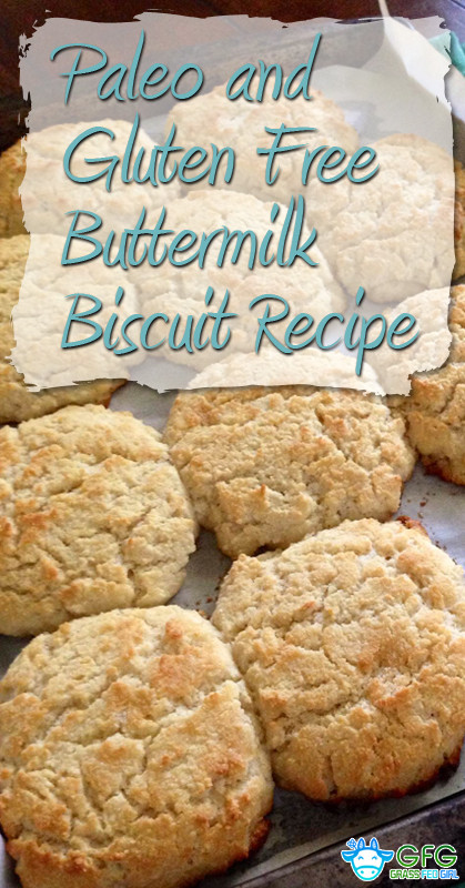 Gluten Free Biscuit Recipe
 Paleo and Gluten Free Buttermilk Biscuit Recipe