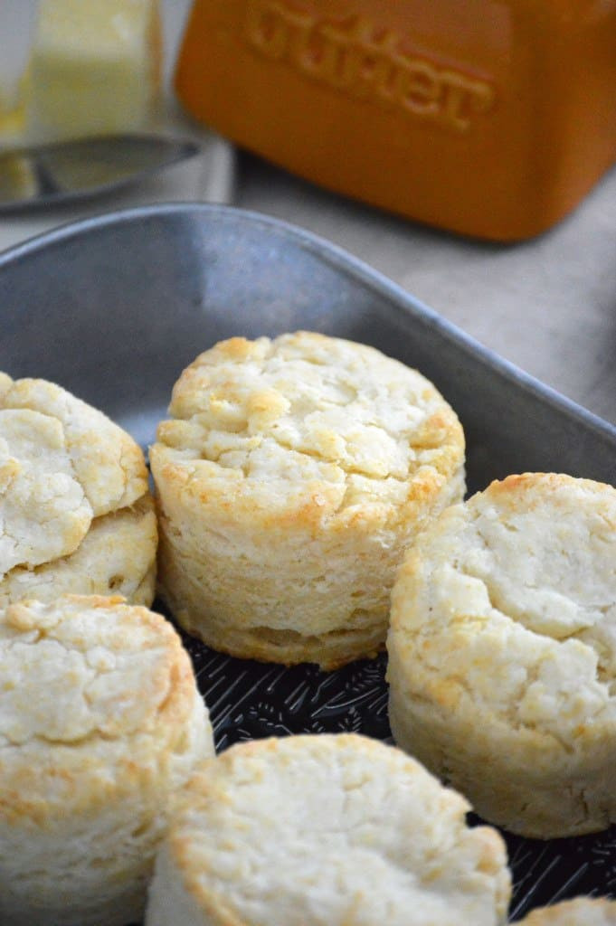 Gluten Free Biscuit Recipe
 10 Best Gluten Free Biscuit Recipes You Need in Your Life
