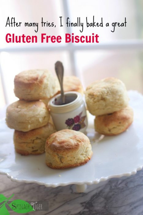 Gluten Free Biscuit Recipe
 25 Paleo and Gluten Free Biscuit Recipes