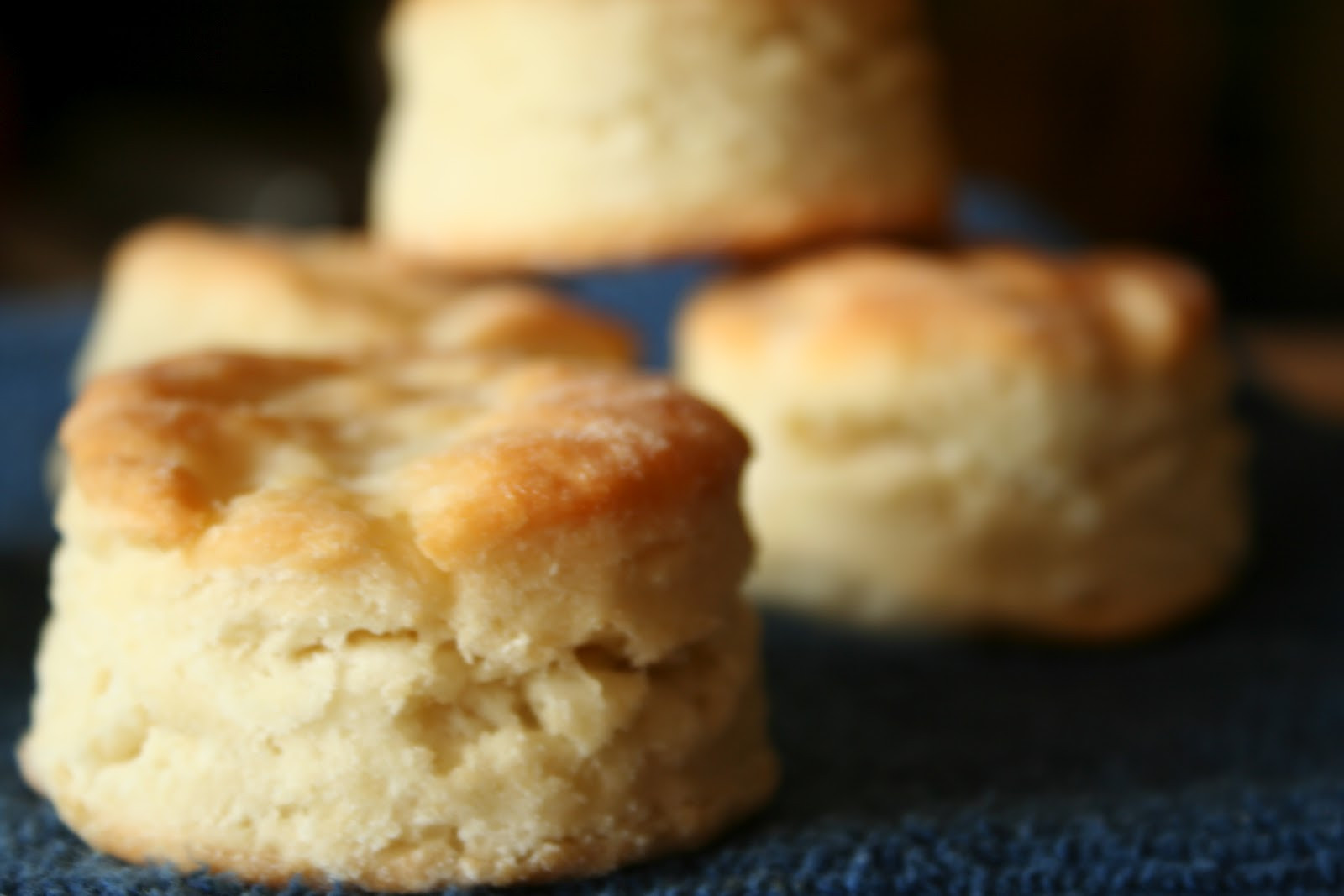 Gluten Free Biscuit Recipe
 A Full Life The Brass Ring Gluten Free Biscuits