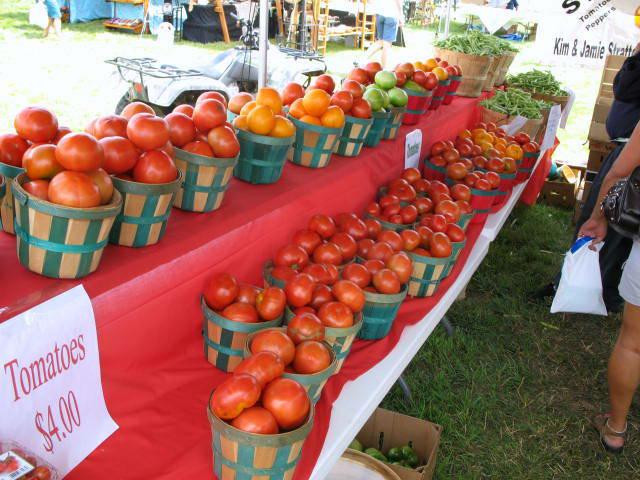 Grainger County Tomato Festival
 10 The Greatest Food Festivals in Tennessee