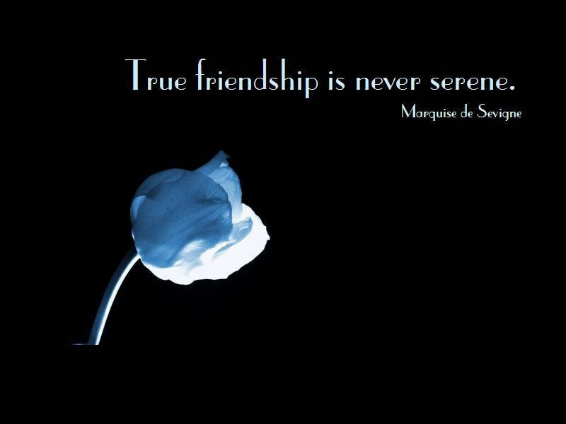 Great Friendship Quotes
 Famous friendship quotes funny friendship quotes