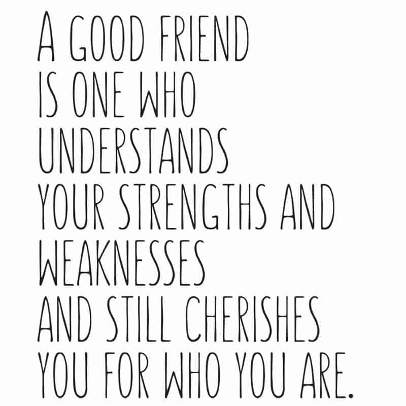 Great Friendship Quotes
 25 Beautiful Friendship Quotes