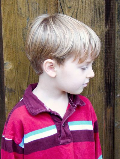Hairstyles For Boys Kids
 Little Boy Haircuts