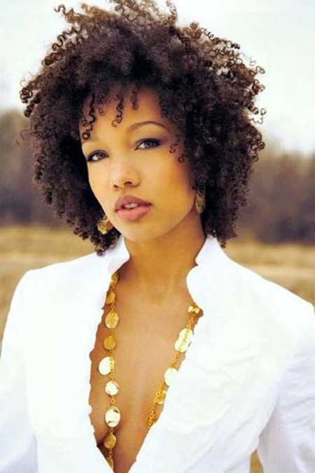 Hairstyles For Natural African Hair
 Short Hairstyles For Black Women