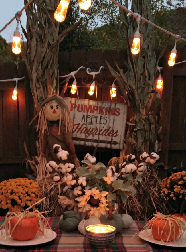 Halloween Party Entertainment Ideas
 4 Tips for an Outdoor Fall Party