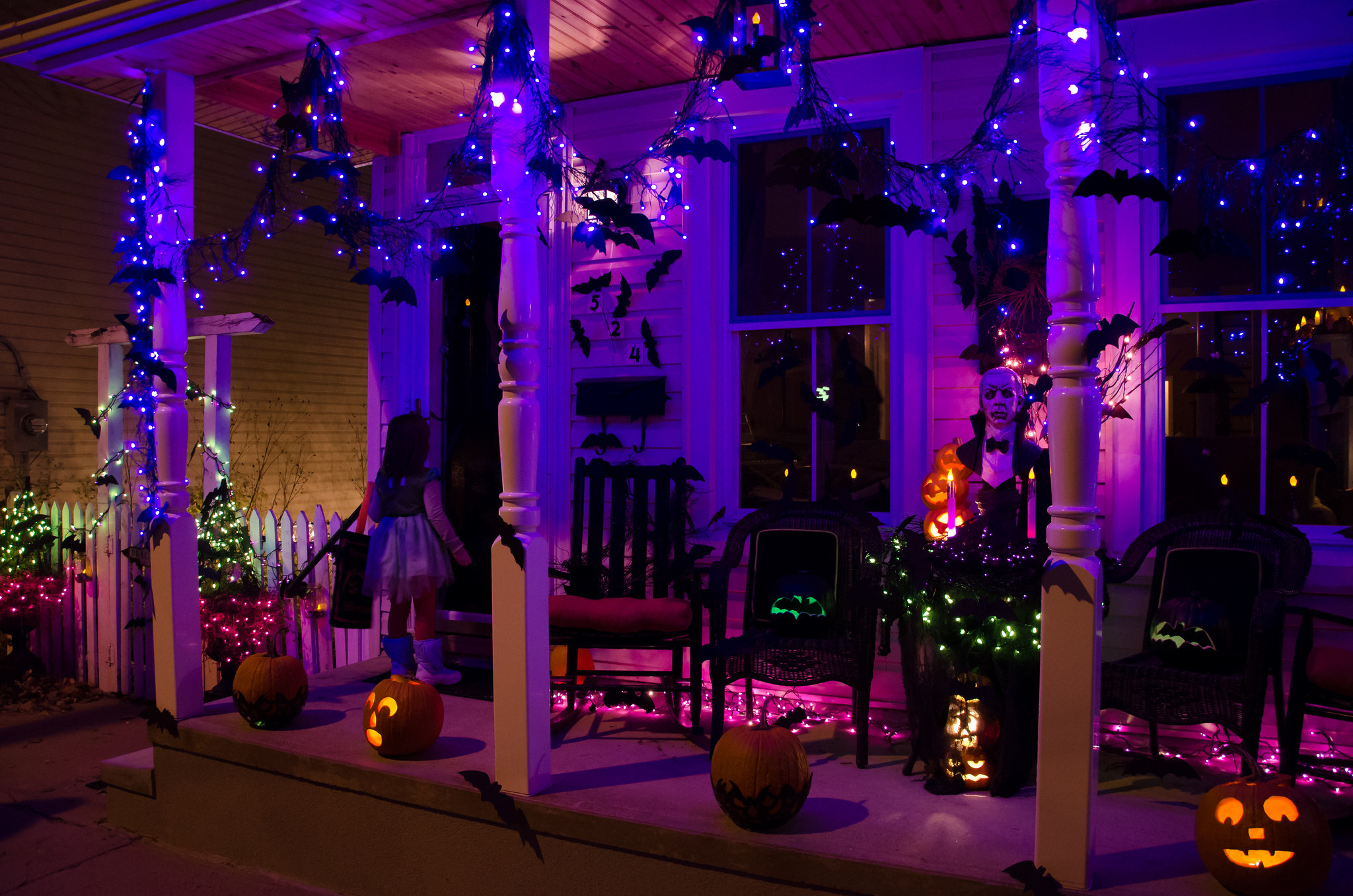 Halloween Porch Lights
 The "TRUTH" of a Blog