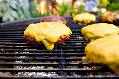 Hamburgers On The Grill
 Guide to Grilling Great Burgers