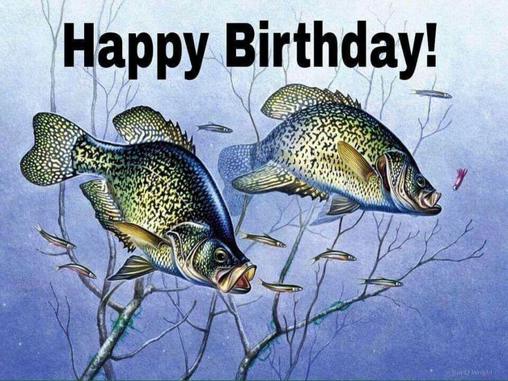 Happy Birthday Fishing Quotes
 Happy Birthday for your fishing bud s …