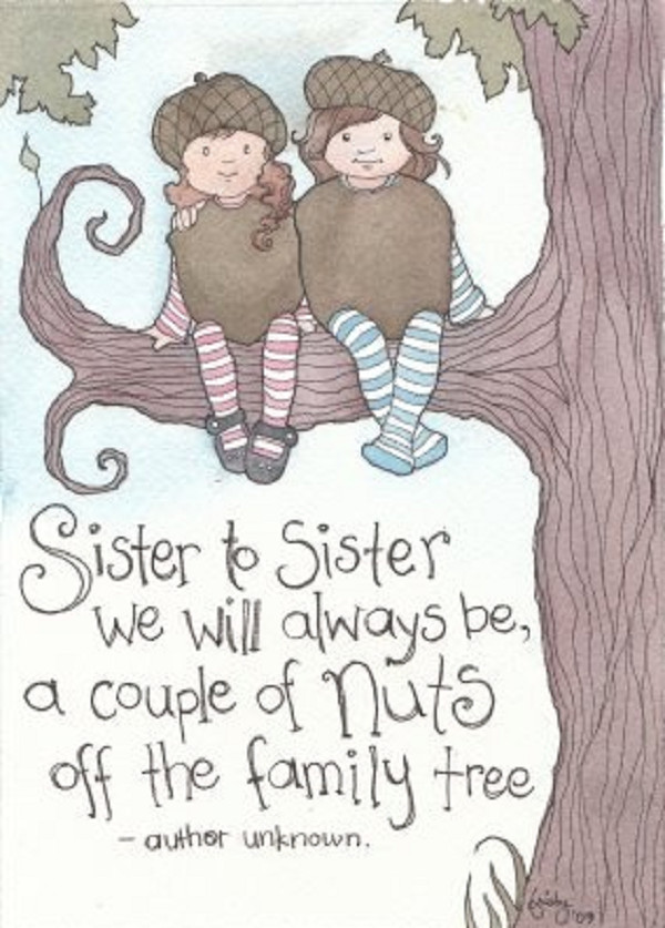 Happy Birthday Sister Funny Quotes
 Hello Sister Quotes QuotesGram