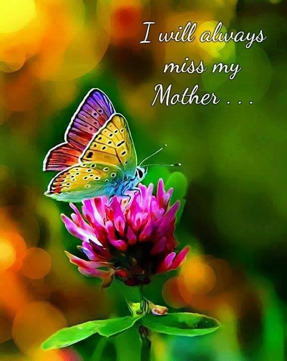 Happy Mother'S Day In Heaven Quotes
 For Those Without Their Mom Mother s Day page 1