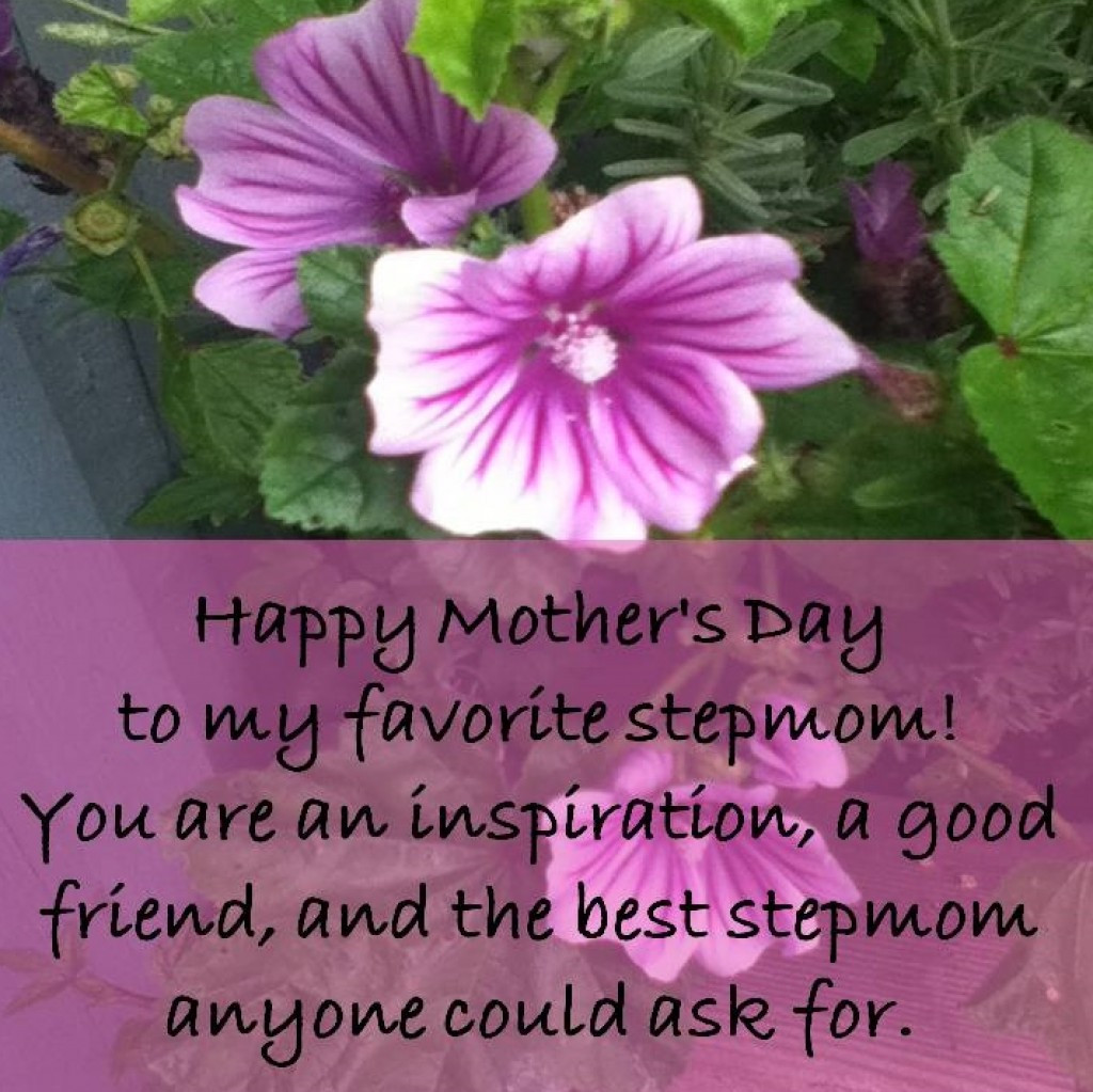 Happy Mothers Day Stepmom Quotes
 Card Greetings and Gift Ideas for a Stepmom on Mother s