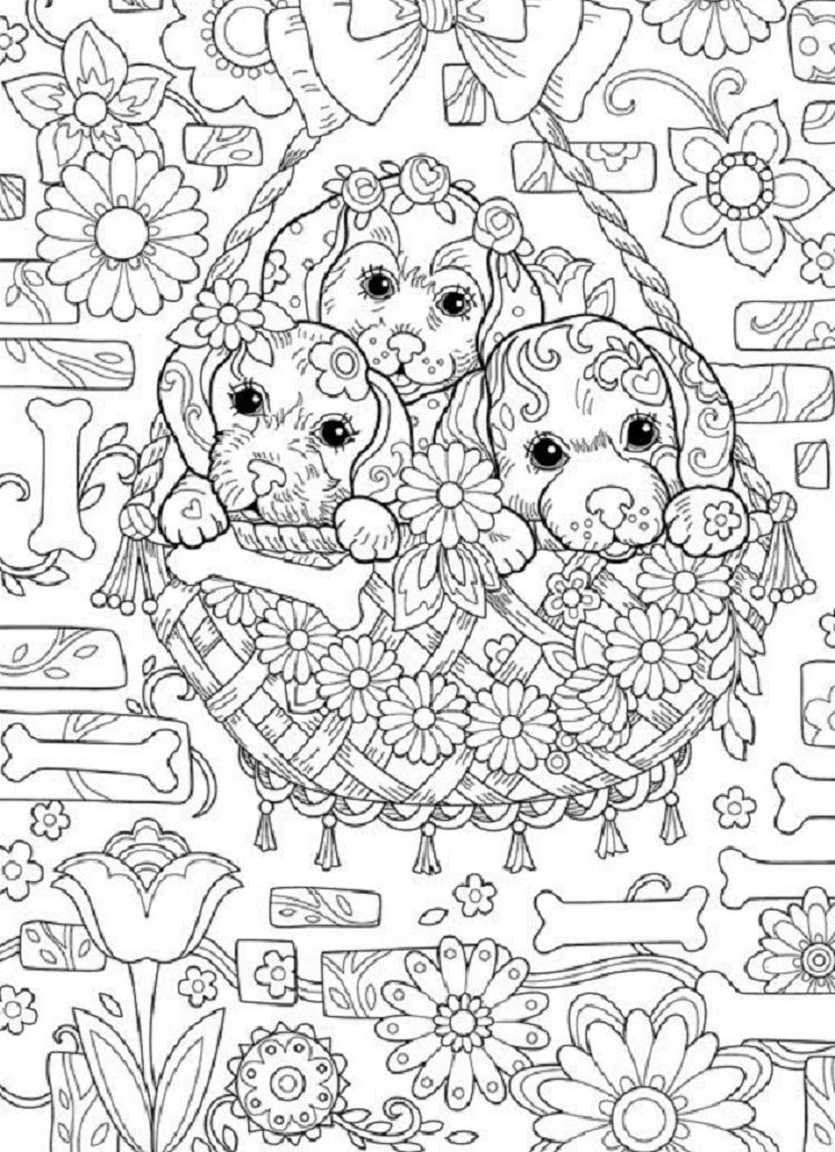 Hard Kids Coloring Pages
 Puppy Coloring Pages Hard Coloring Pages