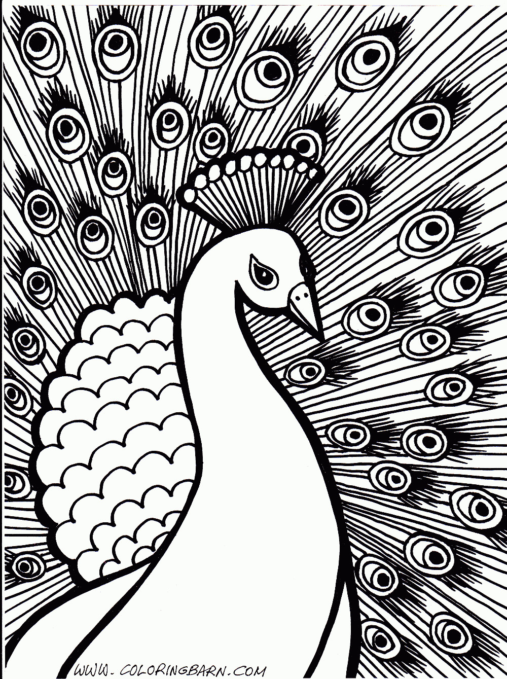 Hard Kids Coloring Pages
 Peacock hard coloring pages Free