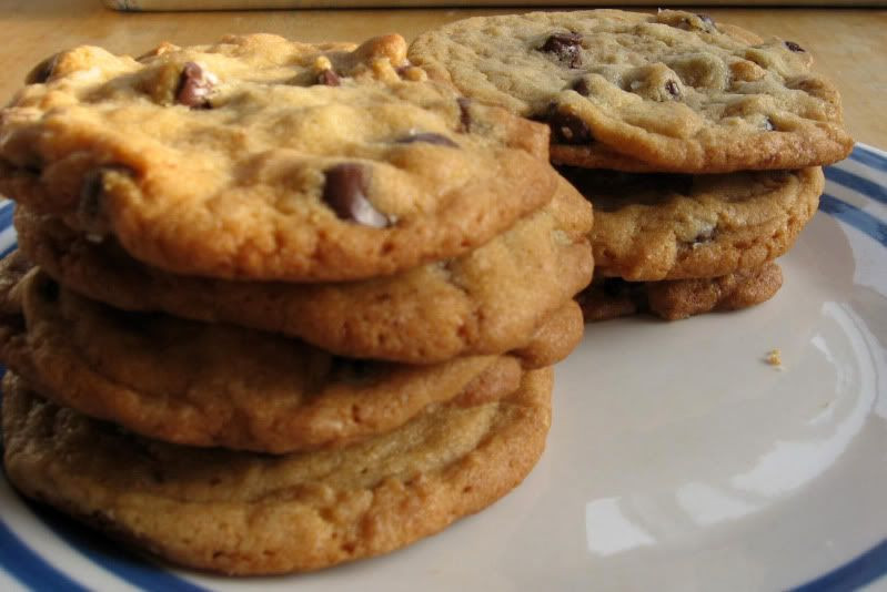 Healthy Cookies Recipe Low Calorie
 Low Calorie Cookie Recipes