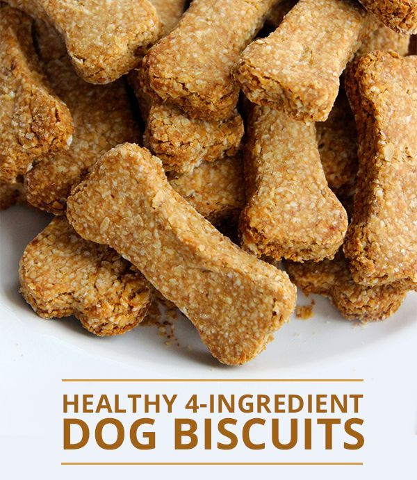 Healthy DIY Dog Treats
 Healthy 4 Ingre nt Dog Biscuits Recipe