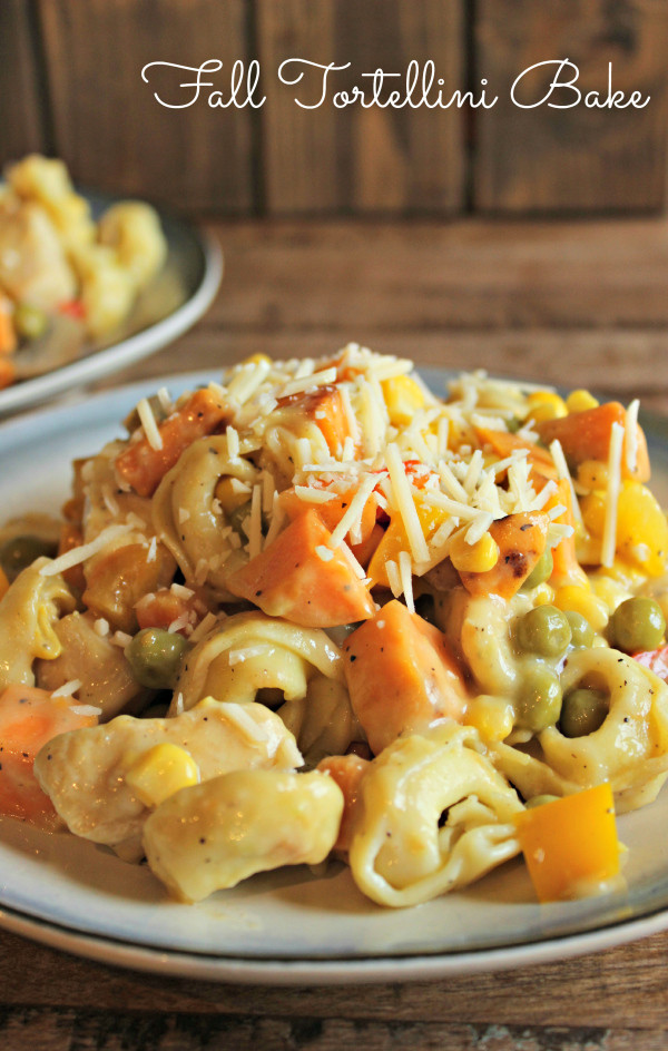 Healthy Fall Casseroles
 20 Autumn inspired casserole recipes to warm up the family
