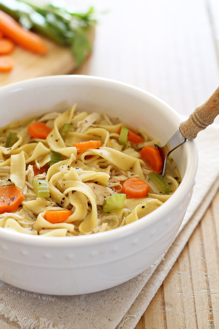 Home Made Chicken Noodle Soup
 Quick and Easy Chicken Noodle Soup Love Grows Wild