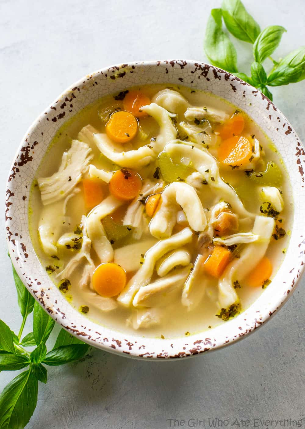 Home Made Chicken Noodle Soup
 Weekly Menu Plan 74