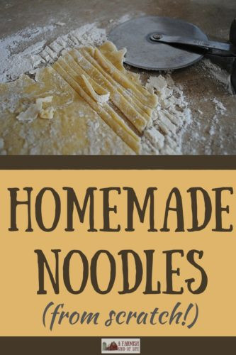 Homemade Noodles From Scratch
 Easy Homemade Noodles From Scratch A Farmish Kind of Life