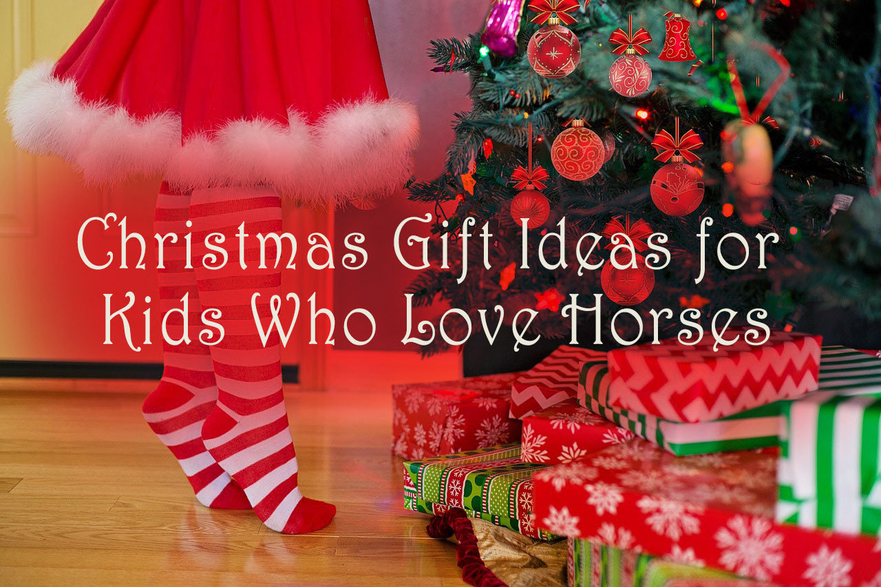 Horse Gift For Kids
 Christmas Gift Ideas for Kids Who Love Horses