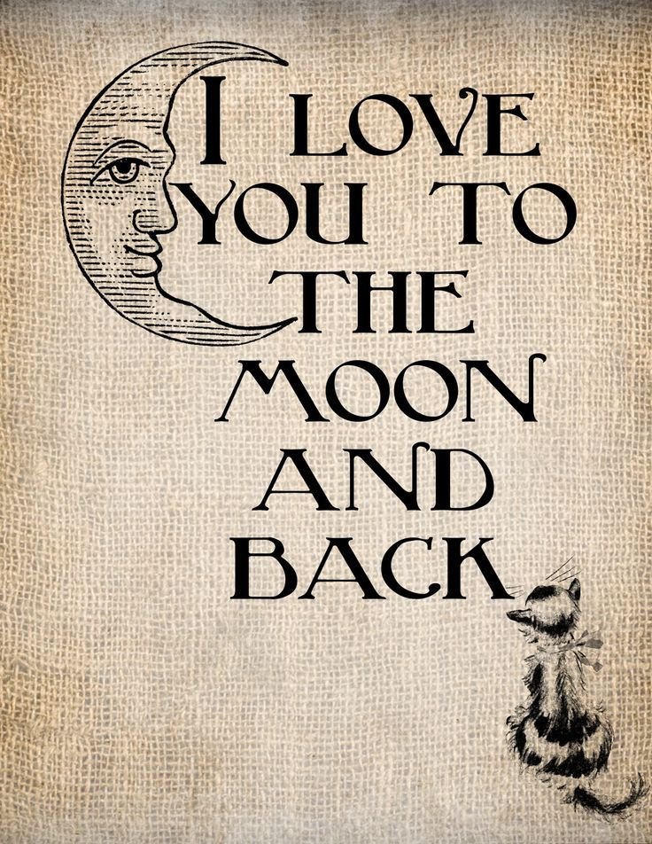I Love You To The Moon And Back Quote
 232 best images about I love you to the moon & back 🌛 on