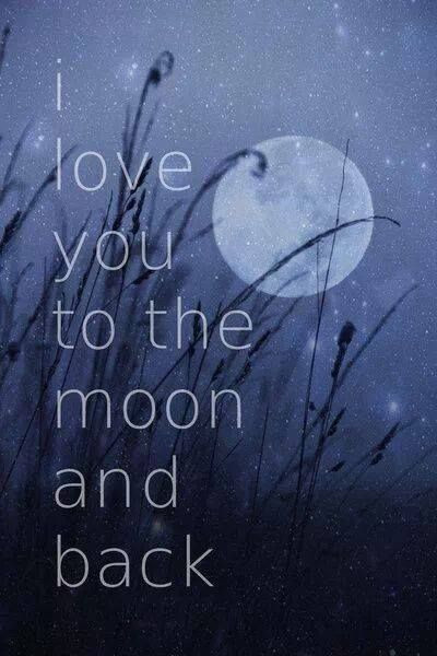 I Love You To The Moon And Back Quote
 I Love You To The Moon And Back Sayings