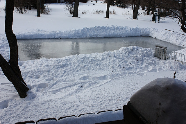 Ice Rinks Backyard
 Mutiny In the Garden Do Backyard Ice Rinks Kill the Grass