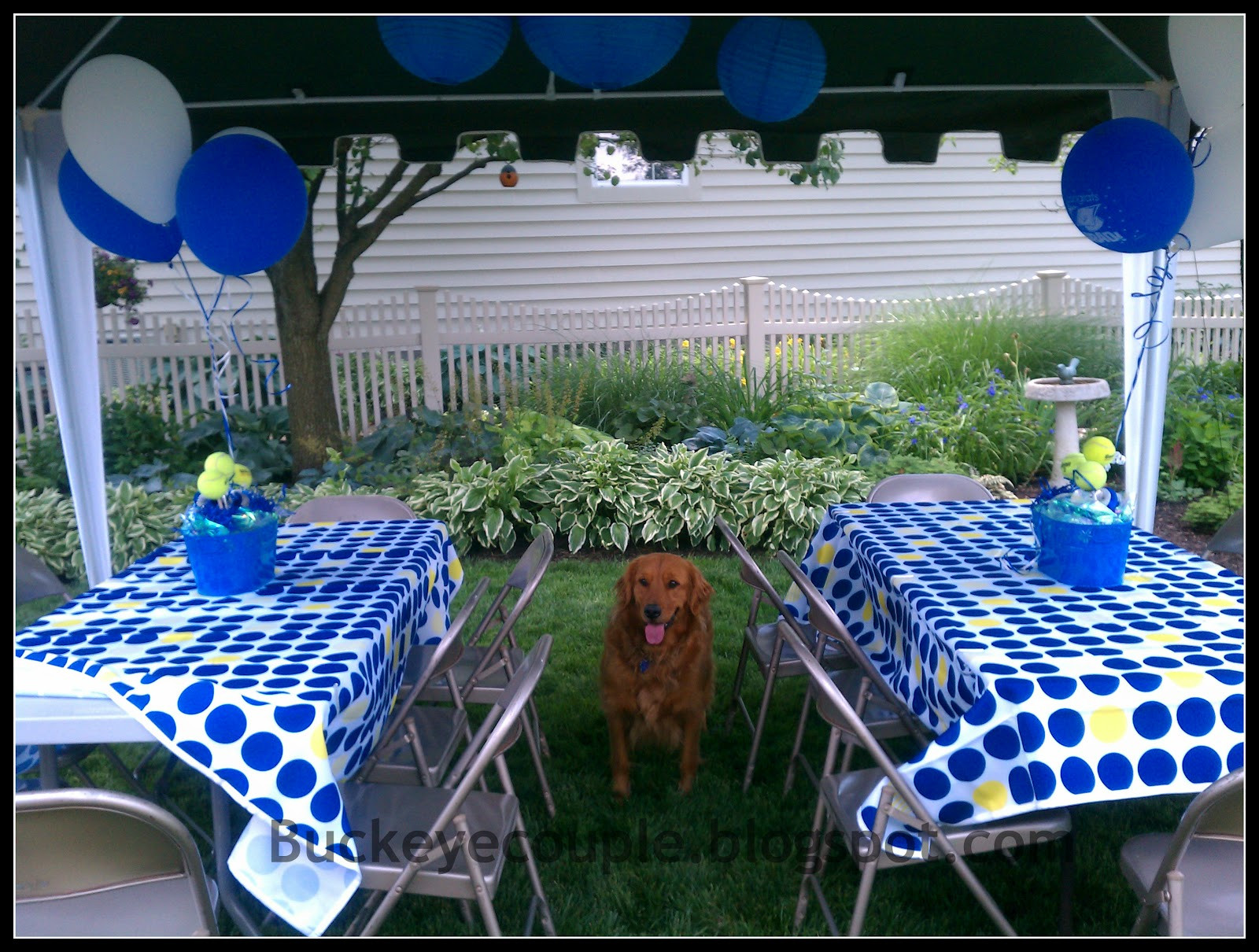 Ideas For Outside Graduation Party
 Not So Newlyweds Graduation Party