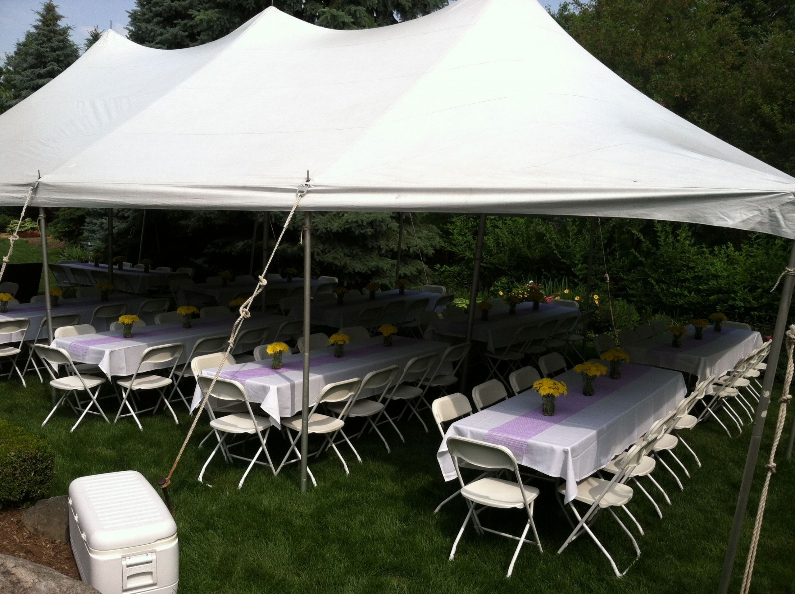 Ideas For Outside Graduation Party
 Outdoor Graduation party theme