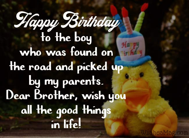 Images Of Funny Birthday Wishes
 Funny Birthday Wishes Messages and Quotes WishesMsg